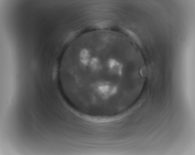 X0000114090018200910051434