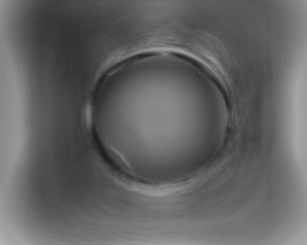 X0000114090019200910051434