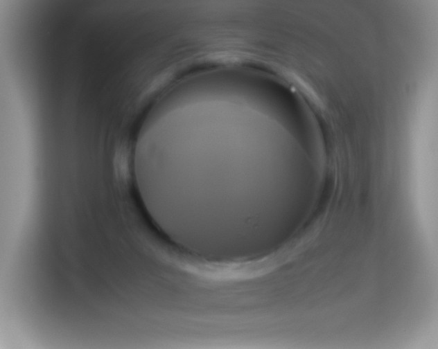 X0000114090023200910051434