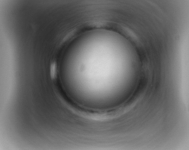 X0000114090024200910051434