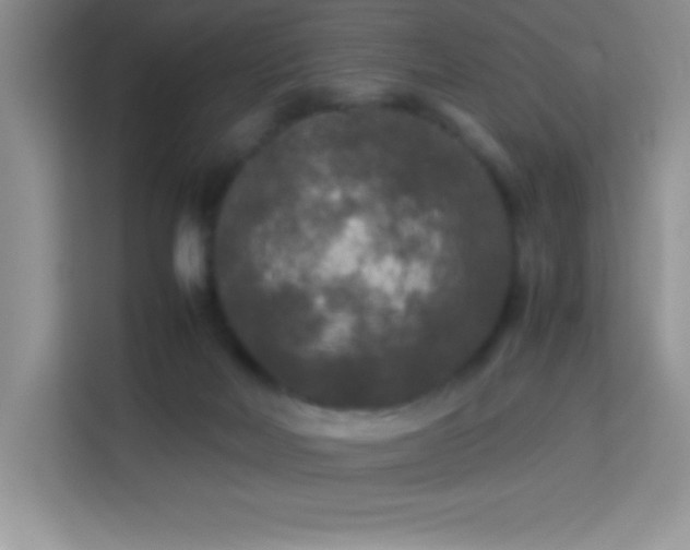 X0000114090026200910051434