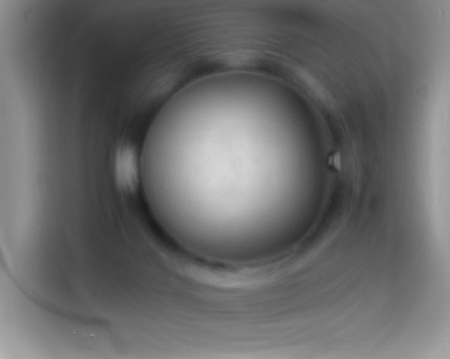 X0000114090028200910051434