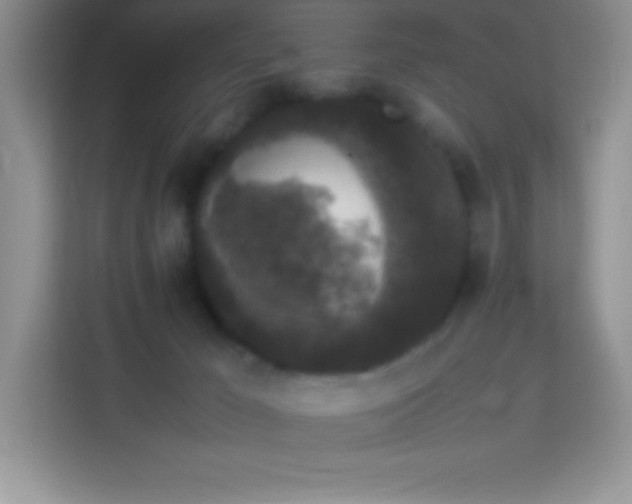 X0000114090029200910051434
