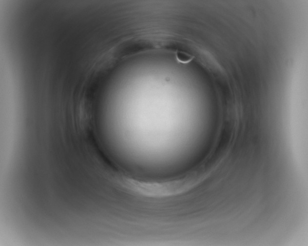 X0000114090030200910051434