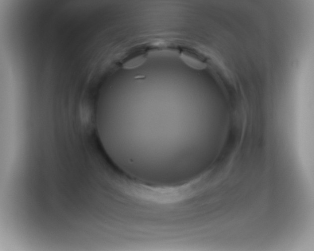 X0000114090031200910051434