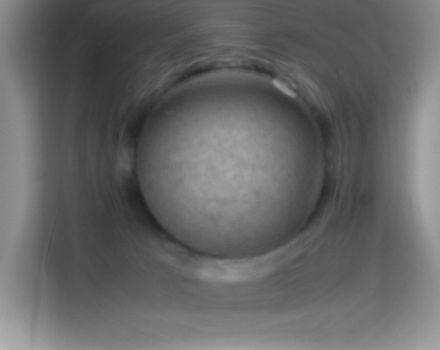X0000114090033200910051434