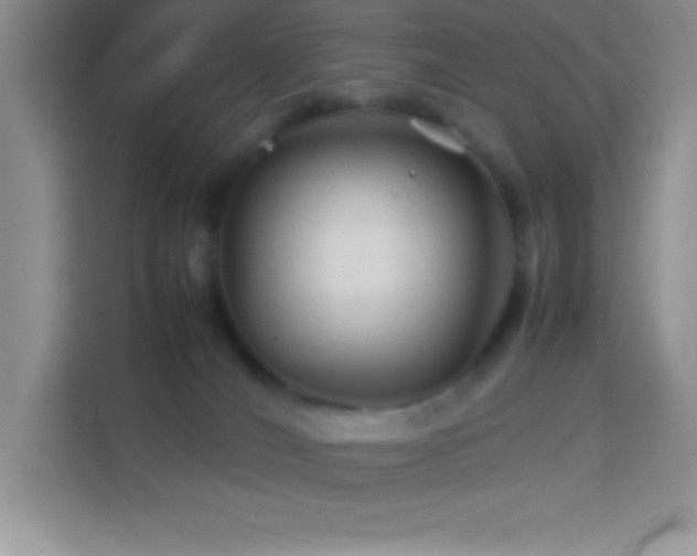 X0000114090036200910051434