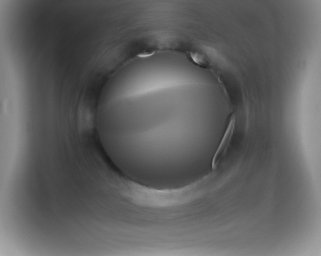 X0000114090039200910051434
