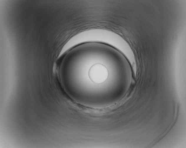 X0000114090041200910051434