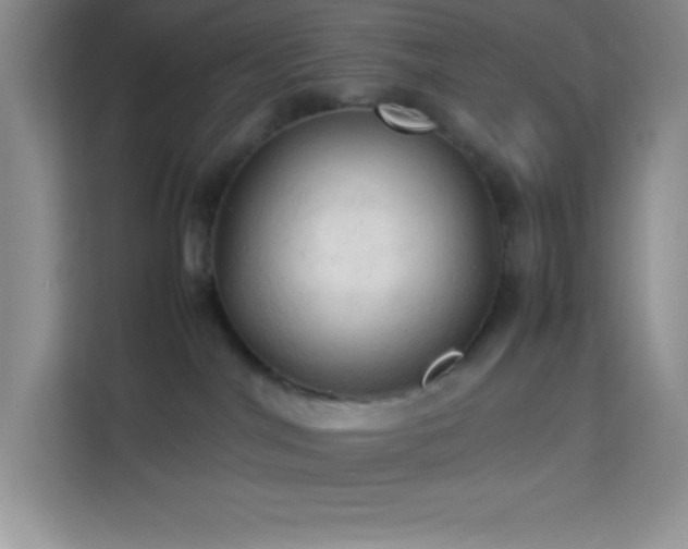 X0000114090044200910051434