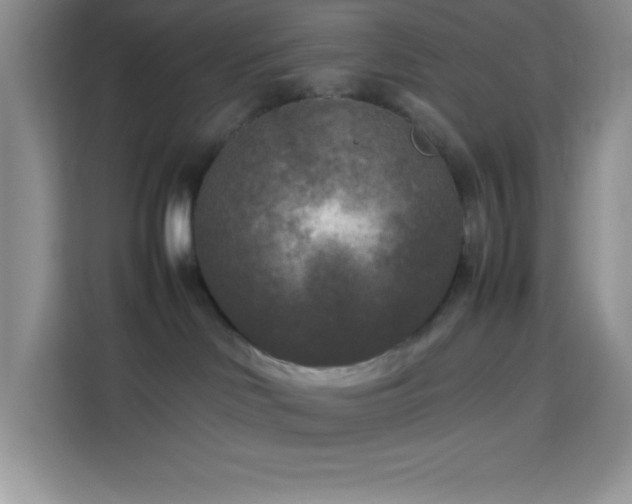 X0000114090046200910051434