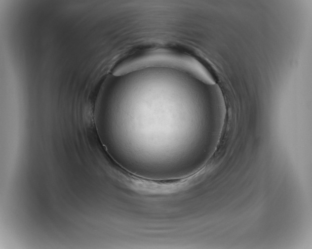 X0000114090048200910051434