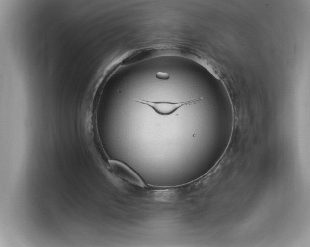 X0000114090050200910051433
