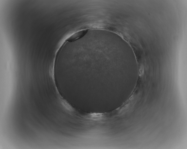 X0000114090052200910051433