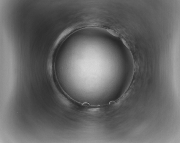 X0000114090054200910051433