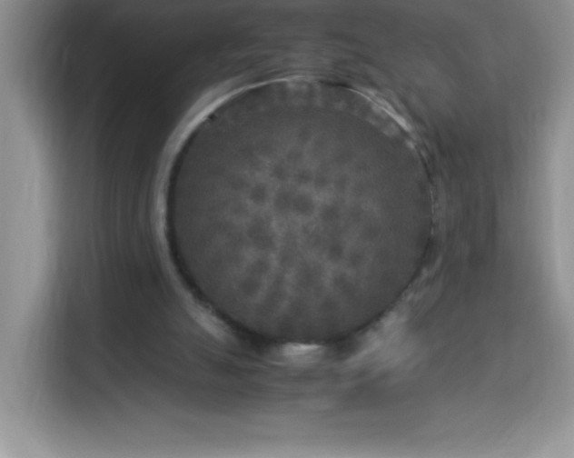 X0000114090055200910051433