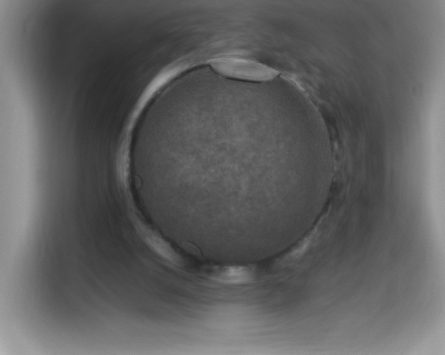 X0000114090056200910051433