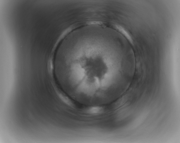 X0000114090059200910051433