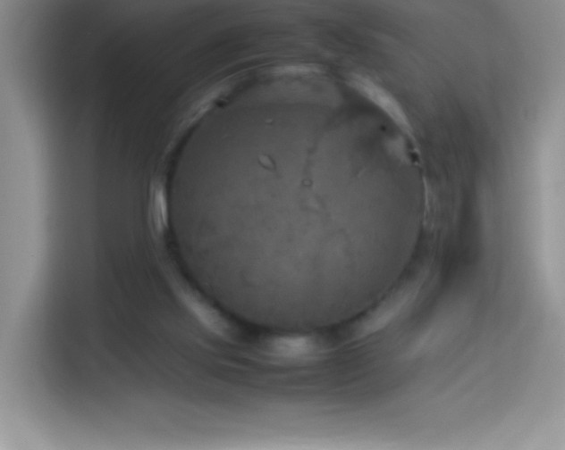 X0000114090061200910051433