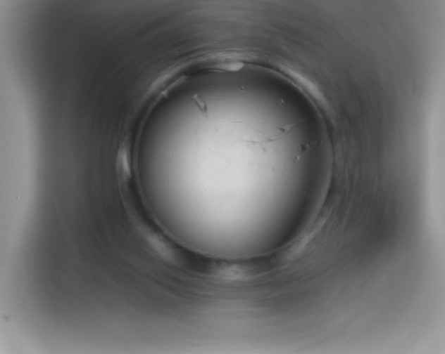 X0000114090062200910051433