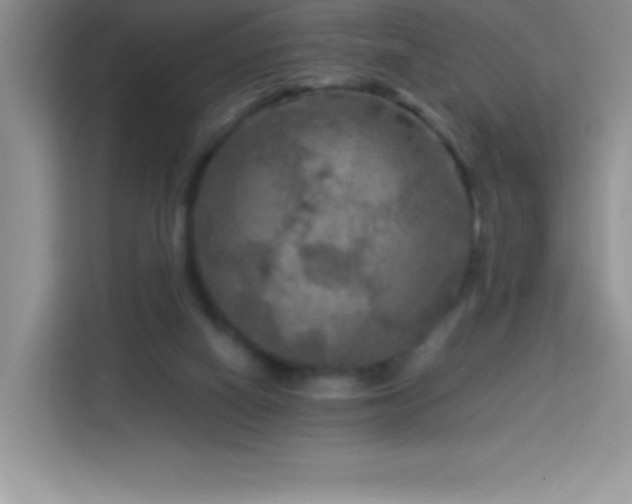 X0000114090066200910051433