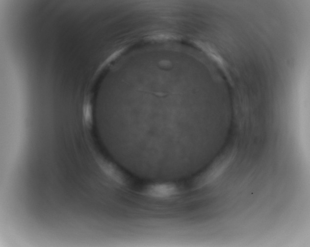 X0000114090067200910051433