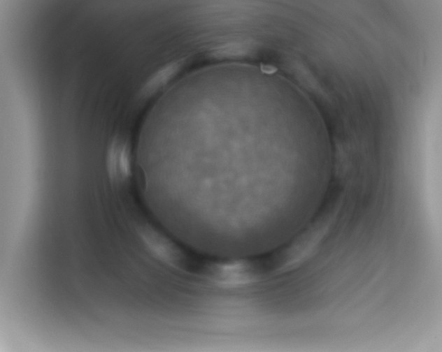 X0000114090068200910051433