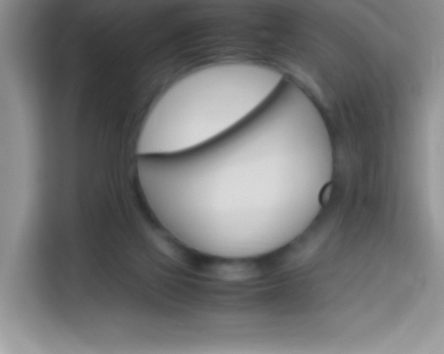 X0000114090069200910051433