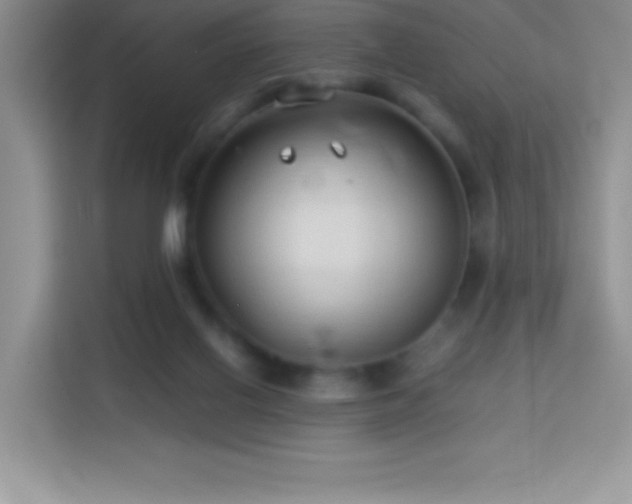 X0000114090070200910051433