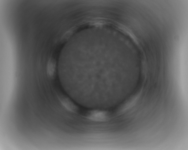 X0000114090073200910051433