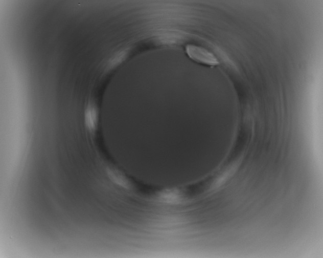 X0000114090076200910051433