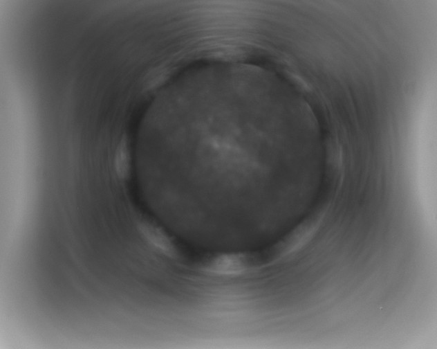 X0000114090080200910051433