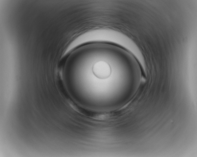 X0000114090084200910051433