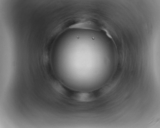 X0000114090085200910051433