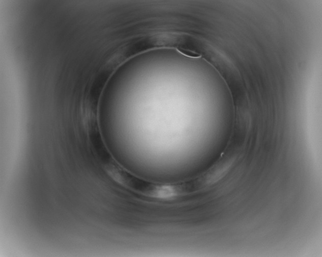 X0000114090091200910051434