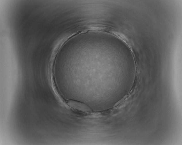 X0000114090097200910051433