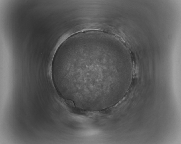 X0000114090099200910051433