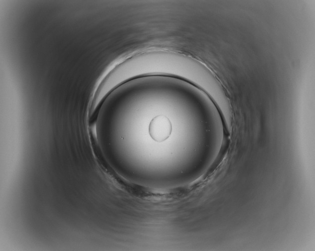 X0000114090100200910051433