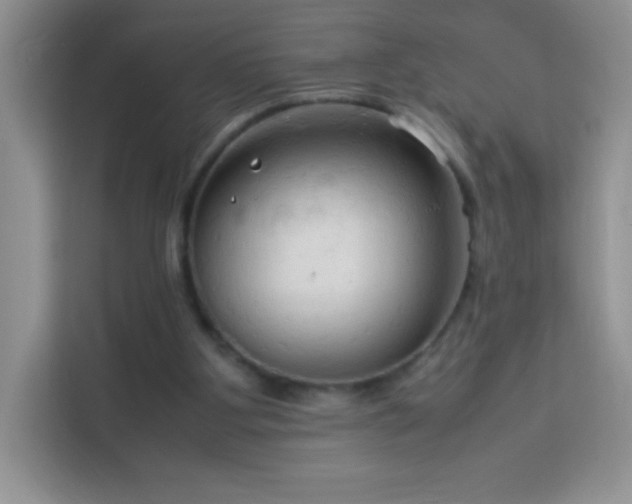 X0000114090107200910051433