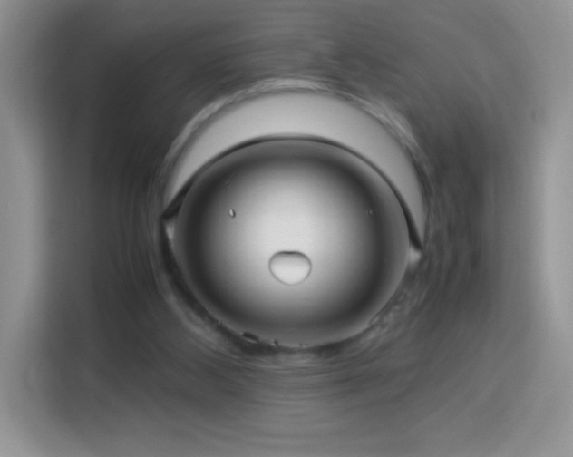 X0000114090108200910051433