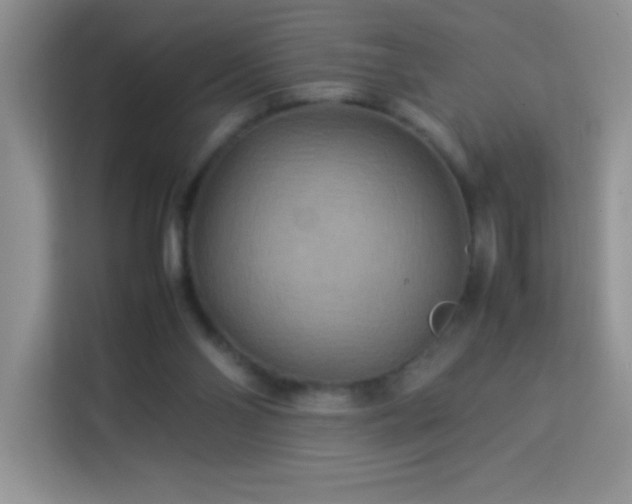 X0000114090110200910051433