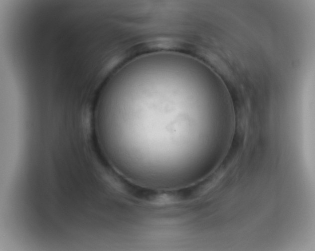 X0000114090111200910051433
