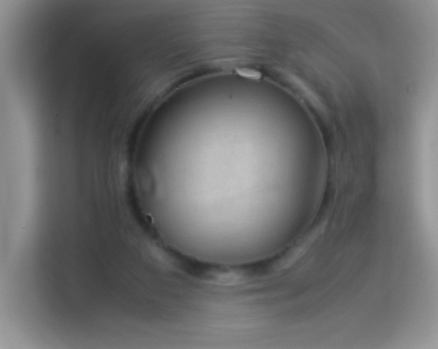 X0000114090113200910051433