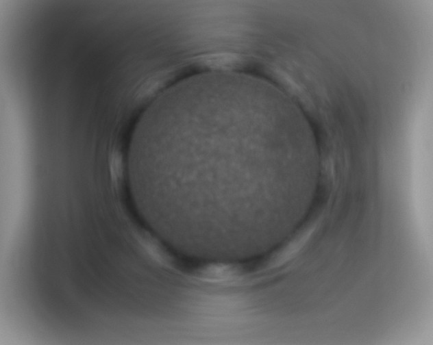X0000114090117200910051433