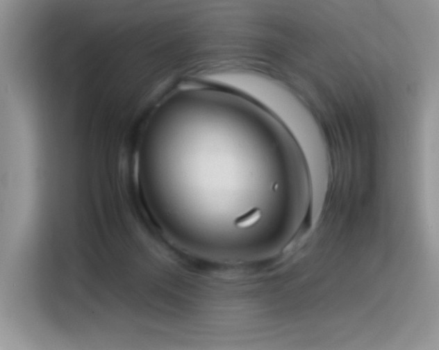 X0000114090120200910051433