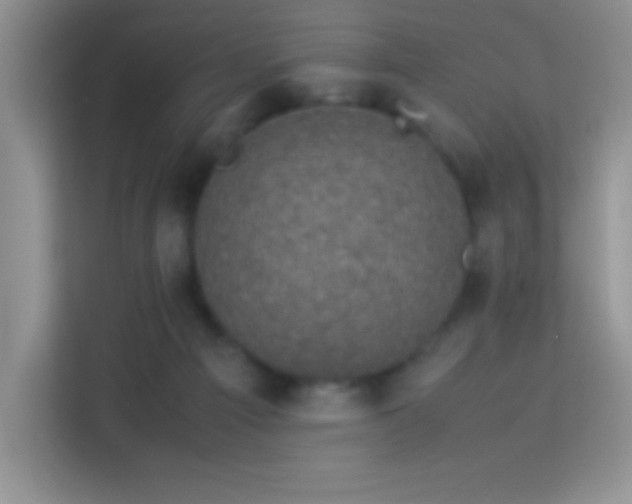 X0000114090121200910051433