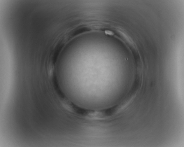 X0000114090125200910051433
