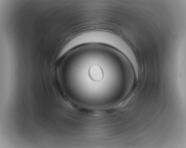 X0000114090128200910051433