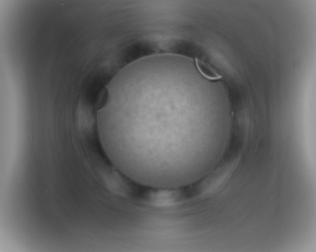 X0000114090129200910051433