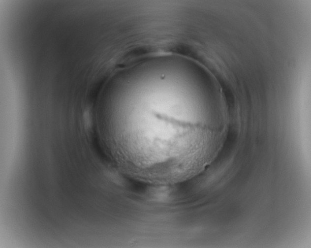 X0000114090131200910051433